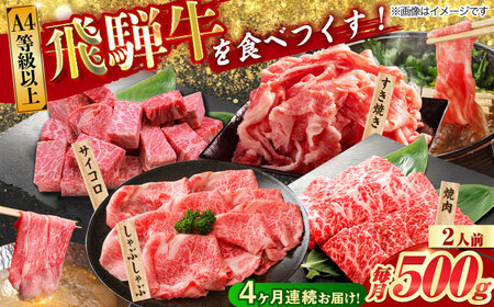 【4回定期便】 飛騨牛を食べつくす！ 飛騨牛 プレミアム 定期便 2人前 ( しゃぶしゃぶ × すき焼き × サイコロステーキ × 焼肉 ) 各500g A4等級以上  多治見市 / 渡辺精肉店 和牛 ブランド牛 牛肉[TAZ046]