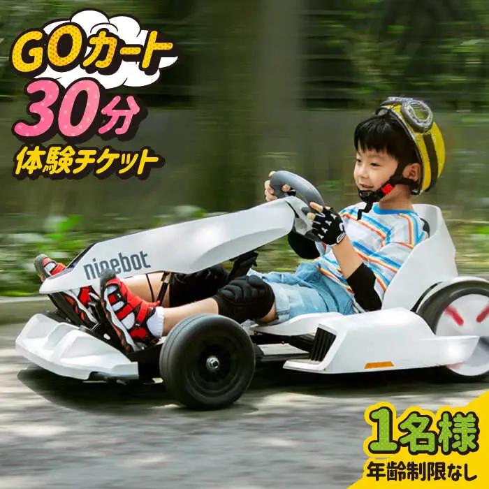 ゴーカート30分体験 吉野ヶ里/e-ビークルパーク GOカート 乗り物 のりもの レジャー アウトドア 遊び  [FCS001]