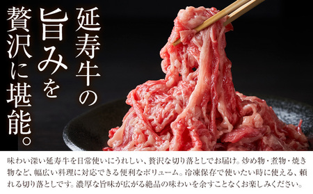 熊本県産 あか牛 「-延寿牛-」 切り落とし 約1kg 株式会社ワンエイト《30日以内に出荷予定(土日祝除く)》熊本県 苓北町 延寿牛 牛肉 切り落とし【配送不可地域あり】