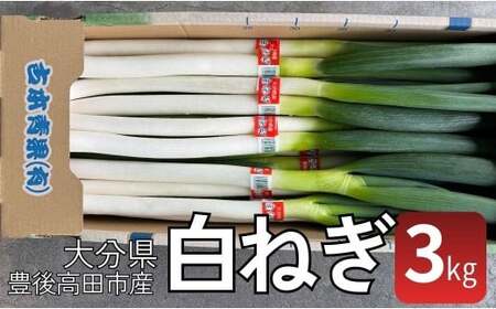白ネギ3kg前後 西日本トップクラスの産地から直送|長ネギ 先行予約