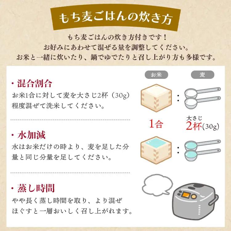 ダイシモチ もち麦 900g×3袋 食物繊維 もち麦 yr-0065