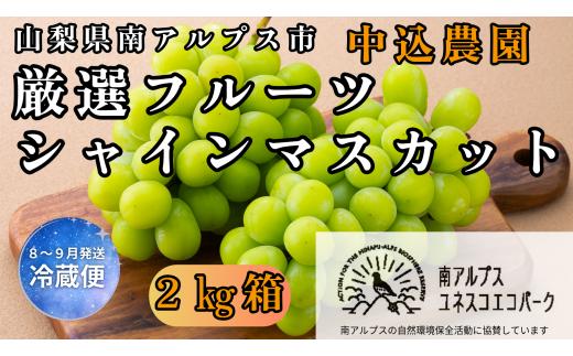 ＜2026年発送先行予約＞ 山梨県南アルプス市産 厳選シャインマスカット 2kg ALPEM010