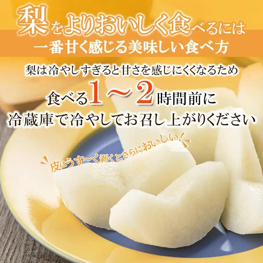 【栃木県共通返礼品】梨 豊水 5kg｜栃木県 那珂川町 送料無料