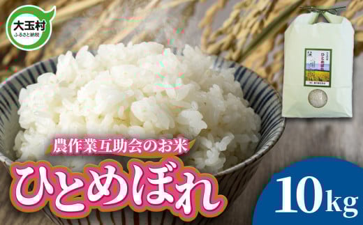 米 10kg ひとめぼれ 令和7年  ｜ 福島県 大玉村 農作業互助会 米作り 白米 ごはん 精米 ヒトメボレ こめ コメ 令和7年産 2025年産 新米 ｜ gj-hb10-R7