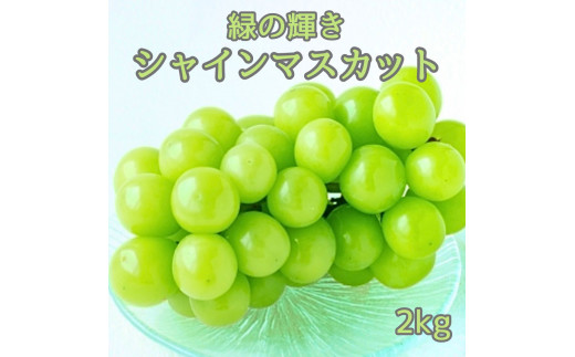 
                  【南信州高森産】緑の輝きシャインマスカット2kg 長野県 信州 農家直送 果物 くだもの ぶどう 旬のぶどう シャイン
                