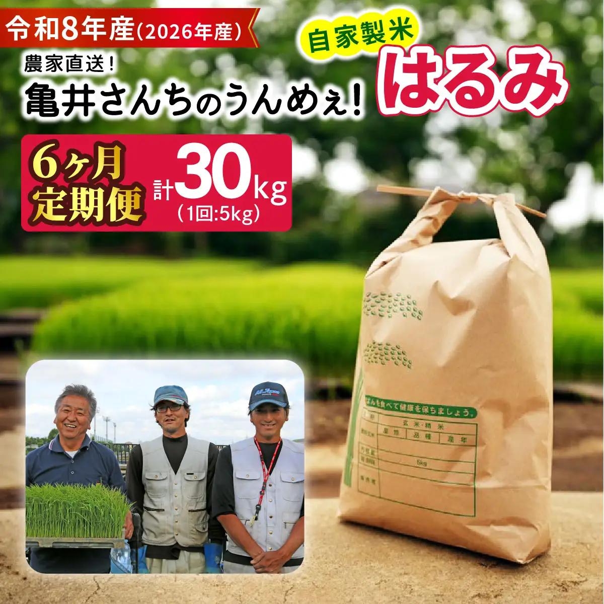 新米 [定期便／6ヶ月連続][令和8年産／10月中旬より順次発送] 伊勢原産 精米 5kg はるみ 農家直送！亀井さんちのうんめぇ！自家製米 [1138]