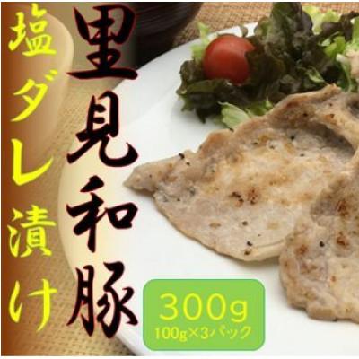 ふるさと納税 南房総市 里見和豚　焼き肉用ロース塩だれ漬け　300g(100g×3パック)