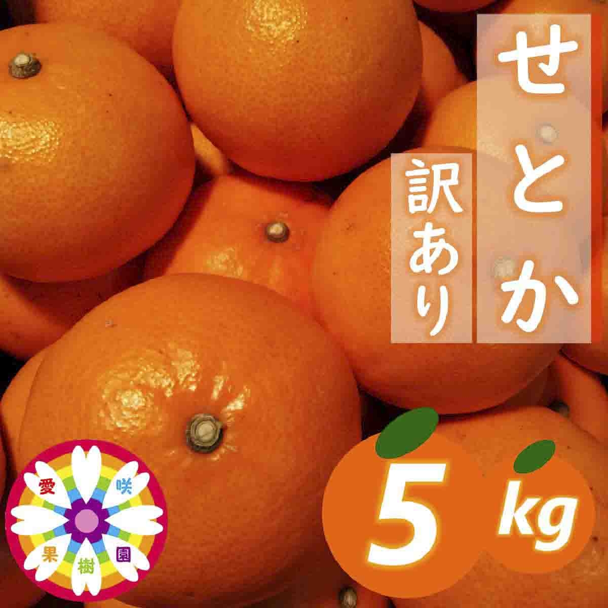 
                  【先行受付】愛咲果樹園「せとか」訳あり約5kg【C71-38】【1718253】ふるさと納税 みかん ミカン 柑橘 フルーツ くだもの 果物 青果 ふるーつ 甘い ジューシー 訳あり 産直 産地直送 旬 愛媛 八幡浜市 YWTS034
                