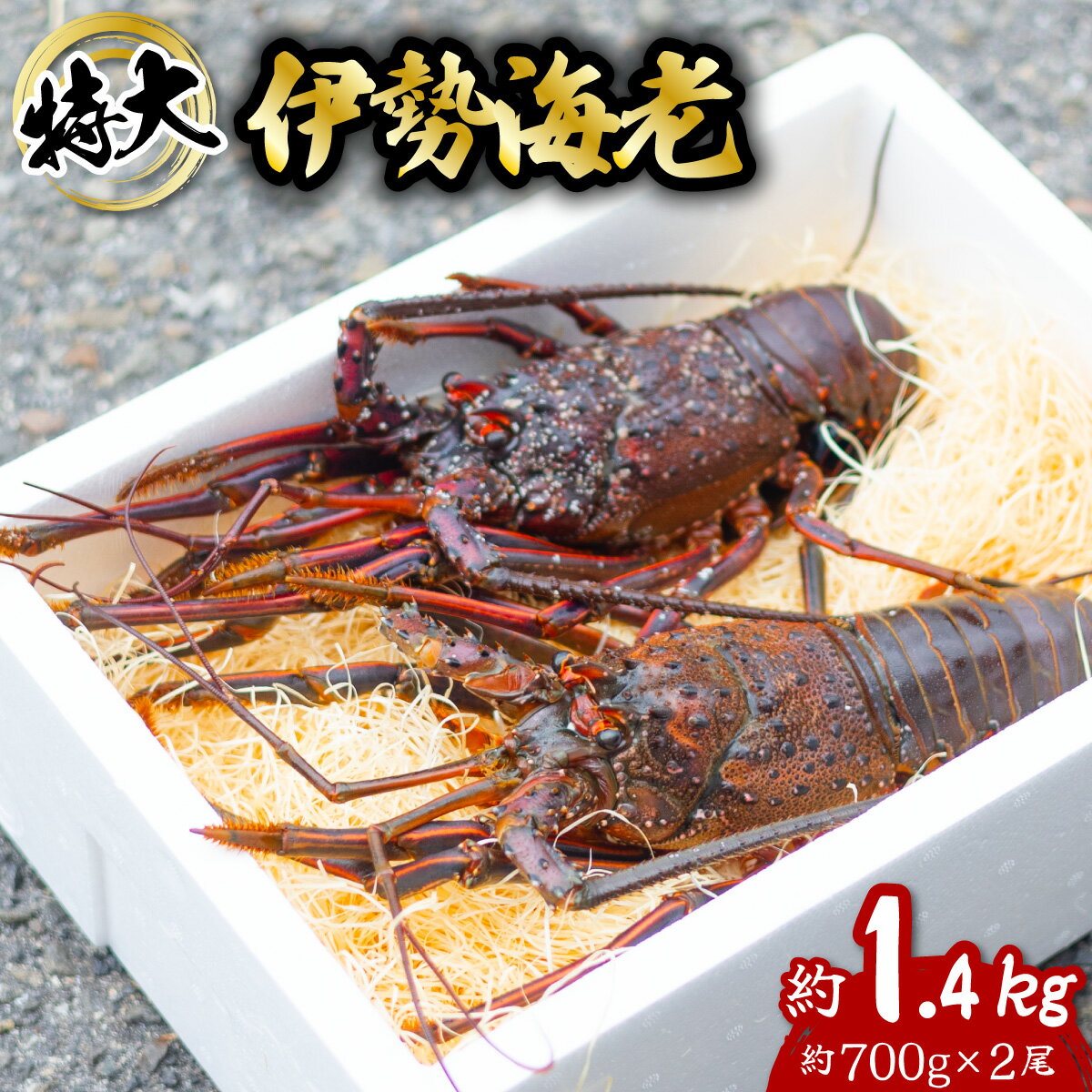 【ふるさと納税】 伊勢海老 特大 約1.4kg 約700g×2尾 伊勢えび 伊勢エビ いせえび イセエビ 海老 えび エビ 海鮮 海産物 海の幸 おせち 高級 国産 海鮮 ギフト 【年内配送／要配送日指定】