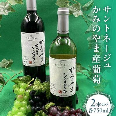 ふるさと納税 上山市 サントネージュかみのやま産葡萄　2本セット　0141-2610