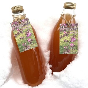 御所川原りんごジュース (1Ｌ×3本) / ストレート果汁100% 果肉まで赤～いりんご「御所川原」使用 りんごジュース