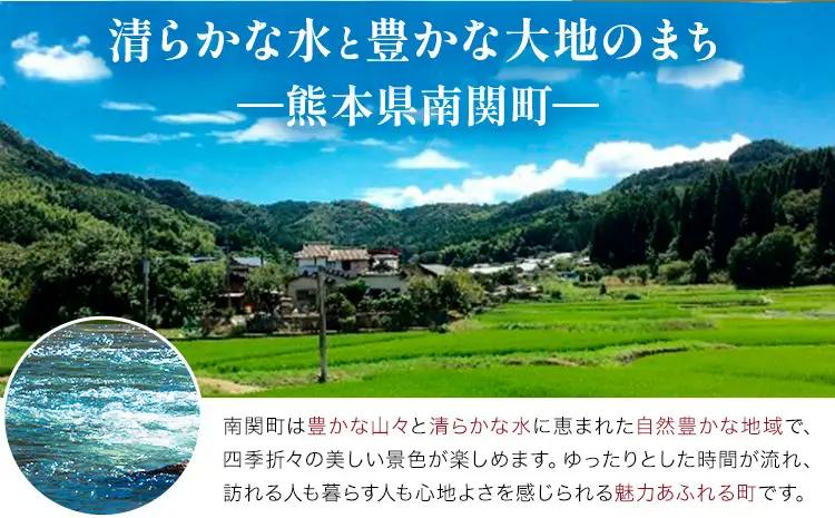 【先行受付】【2回定期便】特選 生たけのこ 食べ比べ 2kg×2回 《3月中旬-4月中旬頃出荷》 熊本県 南関町産 春 筍