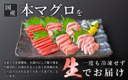 まぐろの王様！生本マグロ！まぐろ三昧おためしセット合計約300g（赤身・中トロ・大トロ各約100g） [e04-a083] 本まぐろ 本マグロ まぐろ マグロ 鮪