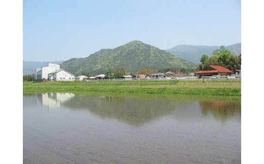 阿東の風景（初夏）