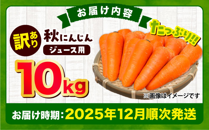 【先行予約】【2025年12月順次発送開始】ジュース用秋にんじん(訳あり) / にんじん ニンジン 規格外 ジュース β-カロテン 食物繊維 抗酸化作用 熊本県産 菊陽町 【株式会社 まゆみ農園】 [