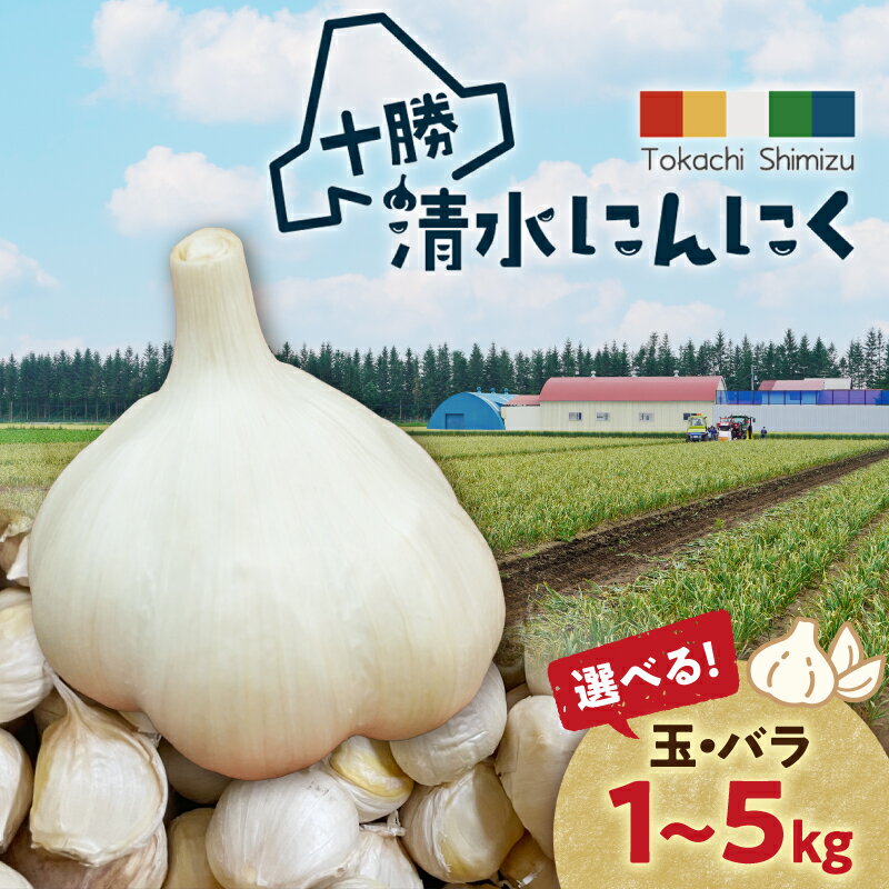 【ふるさと納税】【北海道産】北海道十勝清水町産 しみず有機にんにく 十勝育ちのにんにく 無添加 香り高く甘みとコク 料理の主役に ニンニク ガーリック 白にんにく 無添加 保存料不使用 国産 香り高い 甘み コク 風味 にんにく アヒージョ 北海道産 にんにく 北海道 清水町