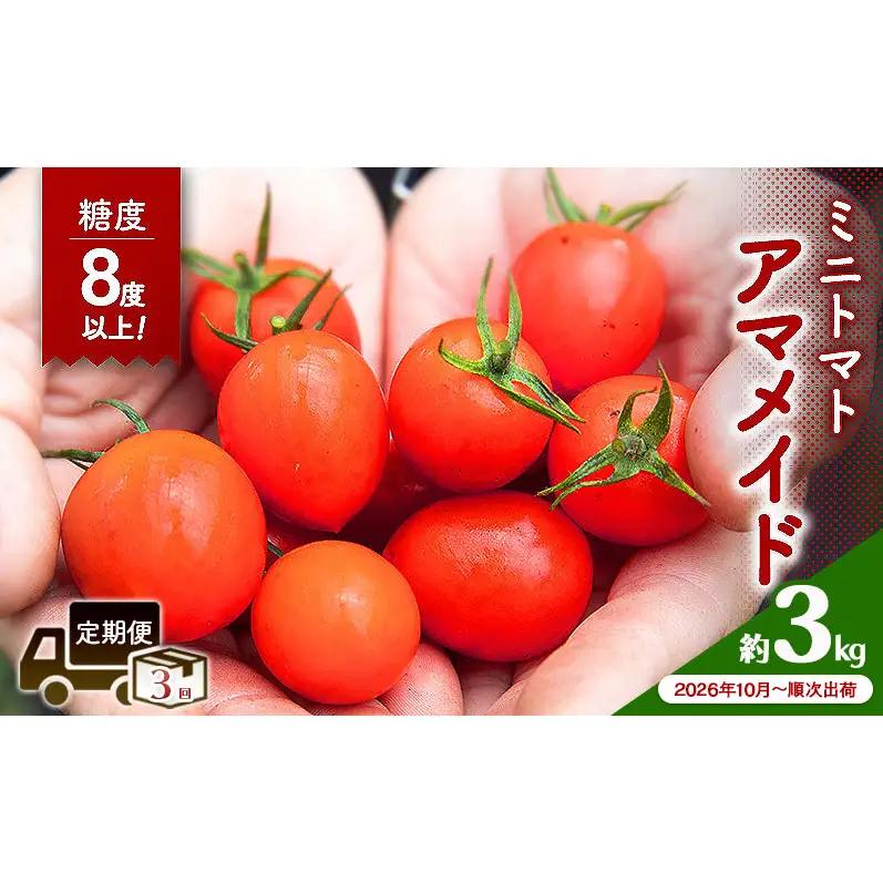 糖度8度以上 ミニトマト アマメイド 3kg 高糖度 定期 3回 2026年10月～順次出荷