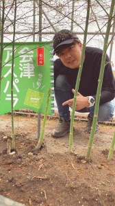 会津若松市産 アスパラガス 1kg｜会津産 野菜 アスパラ 2024年産 令和6年 農家 産直 [0426]