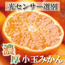 【ふるさと納税】＜11月より発送＞家庭用 小玉な有田みかん5kg+150g（傷み補償分）訳あり | フルーツ 果物 くだもの 食品 人気 おすすめ 送料無料 わけあり 光センサー選果