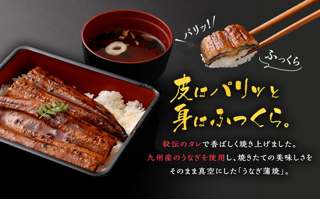 A-298 九州産うなぎ蒲焼き 2尾 合計約240g(約120g×2尾) タレ付