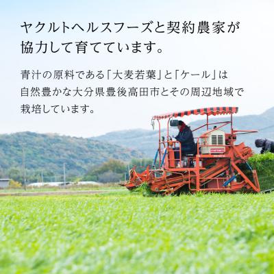 ふるさと納税 豊後高田市 【青汁】 青汁すっきり仕立て 私の青汁 ヤクルトの国産ケール青汁 各1箱 | 健康青汁 毎日青汁 |  | 03