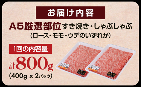 【定期便】佐賀牛 A5 すき焼き しゃぶしゃぶ 厳選部位 800g 12回定期 計9.6kg(800gx12) Q252-002 桑原畜産 ブランド牛 小分け スライス 黒毛和牛 牛肉 人気 佐賀県 