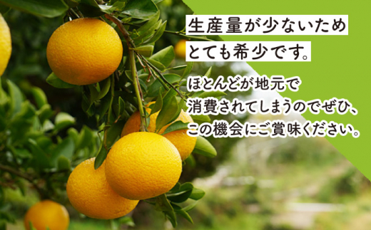 【先行予約・3回定期便】贅沢 柑橘 お便り〈11月：原口早生 5kg・1月：スイートスプリング 10kg・3月：せとか 3kg〉【田崎FARM】[OCU005] / みかん ミカン 蜜柑 柑橘 川棚町