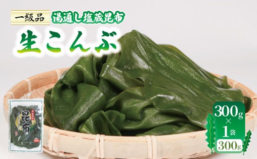 生こんぶ 300g×1袋 こんぶ 昆布 コンブ 三陸 国産 岩手県 大船渡