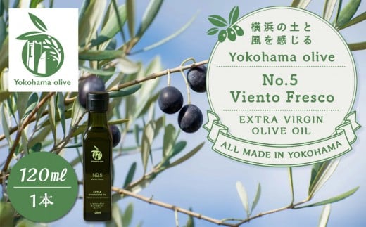 
            横浜オリーブ　No.５ビエントフレスコ　エクストラバージンオリーブオイル120ml
          