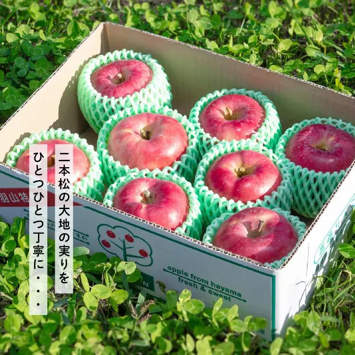 りんご《2026年11月下旬以降順次》羽山のりんご ふじL～3Lサイズ3kg りんご リンゴ 果物 フルーツ【斎藤りんご園】