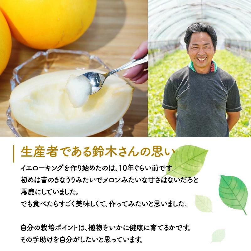 【2026年発送】完熟！イエローキングメロン 5kg以上(5玉～6玉)　H141-017
