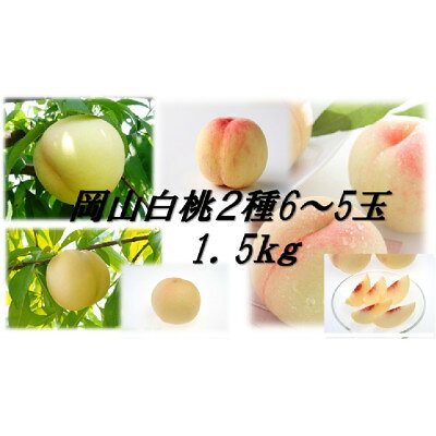 【ふるさと納税】岡山白桃食べ比べ　晩生種2種5～6玉【配送不可地域：離島】【1684889】