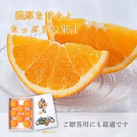 先行予約! 和歌山県産ネーブル 約4kg　大玉!(8個～9個)秀品 こだわり農家厳選!【1720259】