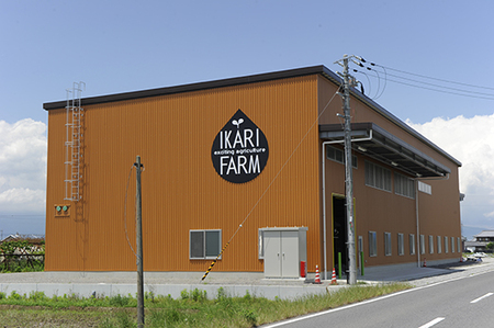 【新米】【7年産】 にじのきらめき 白米 5kg 大粒 で食べ応えあり 【C059W】 近江米 にじのきらめき