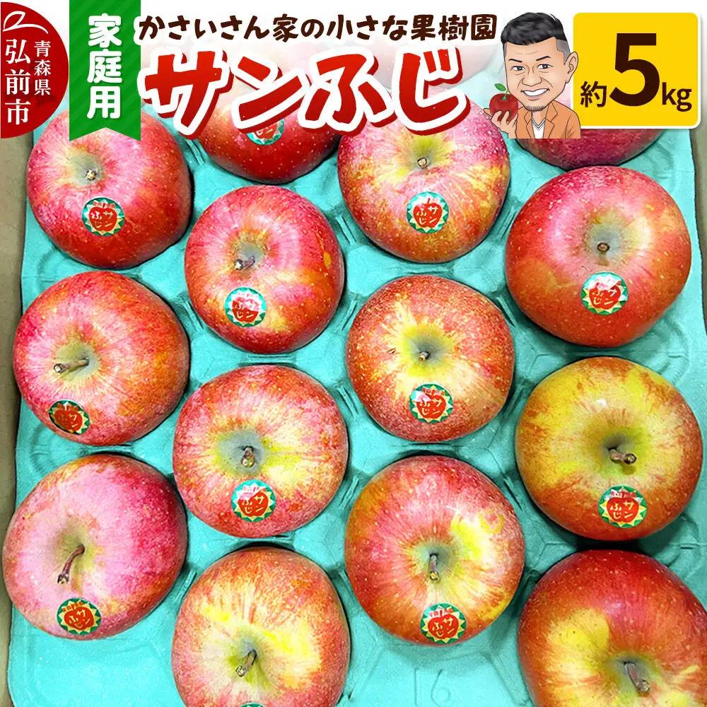 りんご サンふじ 約5kg 家庭用【11月下旬～発送】りんご