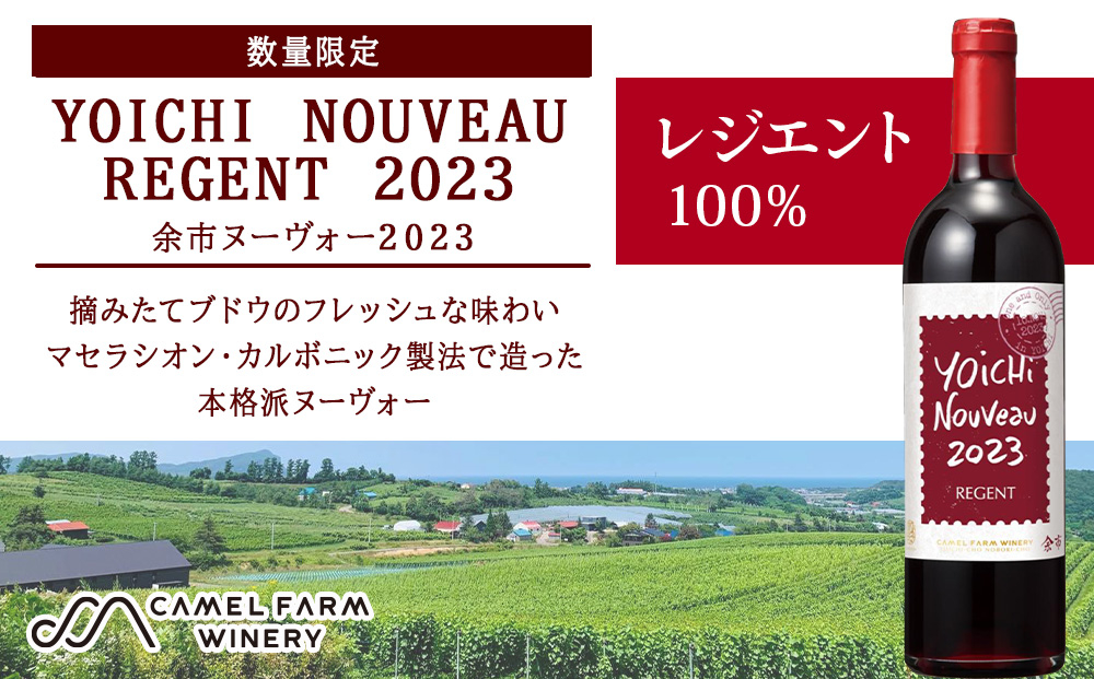 
                  【数量限定】ヨイチヌーヴォー レジェント 2023<キャメルファーム>　余市 北海道 ワイン 赤ワイン ヌーヴォー ヌーボ 国産 キャメル カルディ おすすめワイン 余市のワイン 北海道のワイン 日本のワイン
                