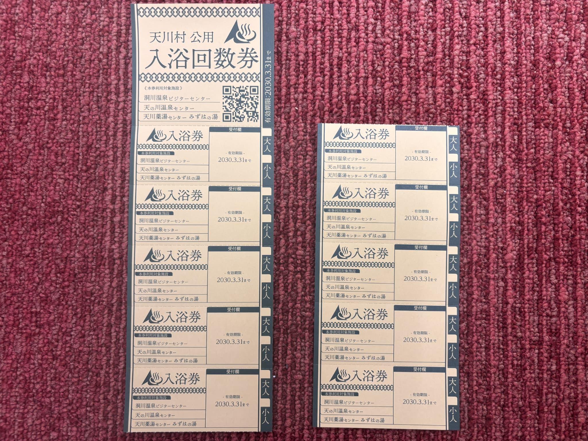 天川村日帰り入浴施設入浴券　10枚セット
