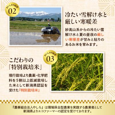 ふるさと納税 妙高市 令和7年産 新潟県 妙高やしろ米 コシヒカリ10kg(5kg×2袋) 【11月中旬より発送】 |  | 02