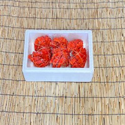 ふるさと納税 根室市 ＜12/21まで年内配送＞★花咲かに300g前後〜450g前後×3尾 A-76031 |  | 01