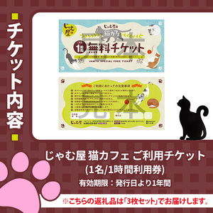 猫まみれになれる猫カフェチケット(3枚) チケット 猫 カフェ 体験 ネコ ねこ 保護猫 動物 カフェ利用チケット 保護猫カフェ 利用券 利用優待券 触れ合い ふれあい 体験型 動物カフェ 癒し 写真