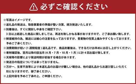 【 年 4回 定期便 】 熊本県 人気 フルーツ 4回 定期便 4月 ・ 7月 ・ 10月 ・ 1月 果物 くだもの 旬 大玉 スイカ すいか 西瓜 メロン めろん アールス メロン 梨 ナシ 新高 