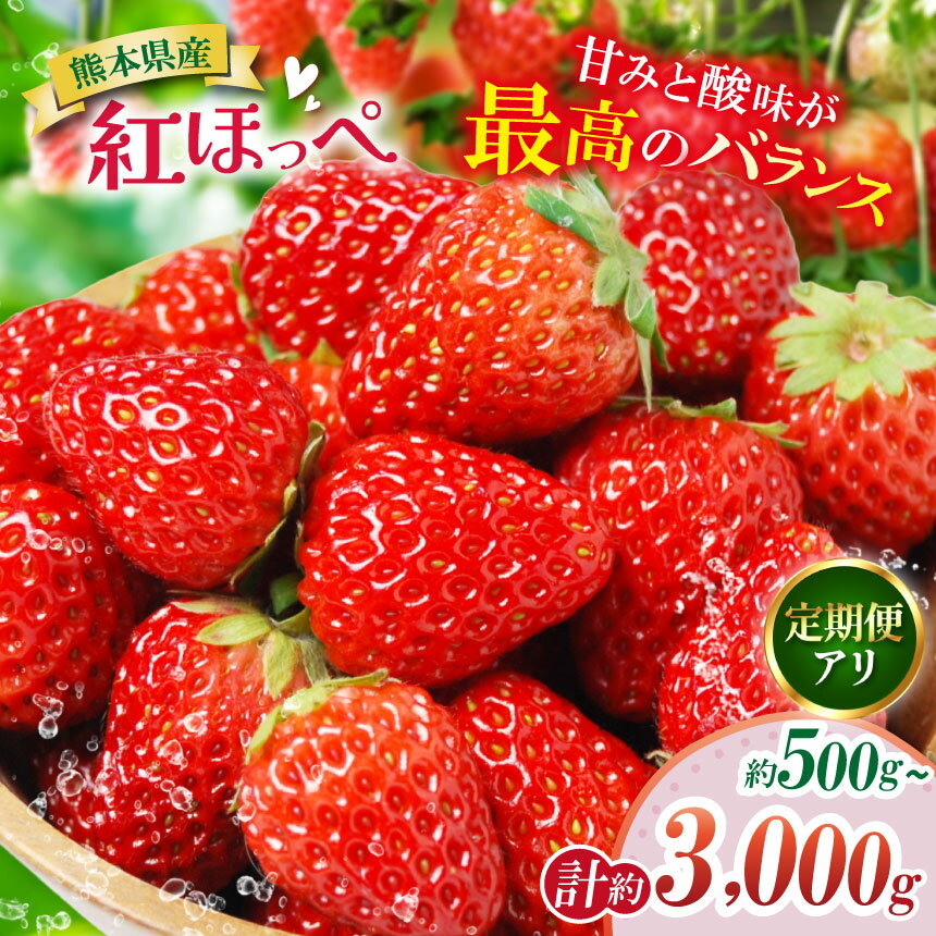 【ふるさと納税】選べる 内容量・回数 熊本たまな産 紅ほっぺ 約500g~3000g 定期便回数 2回 3回 | フルーツ 果物 くだもの イチゴ いちご 苺 熊本県 玉名市
