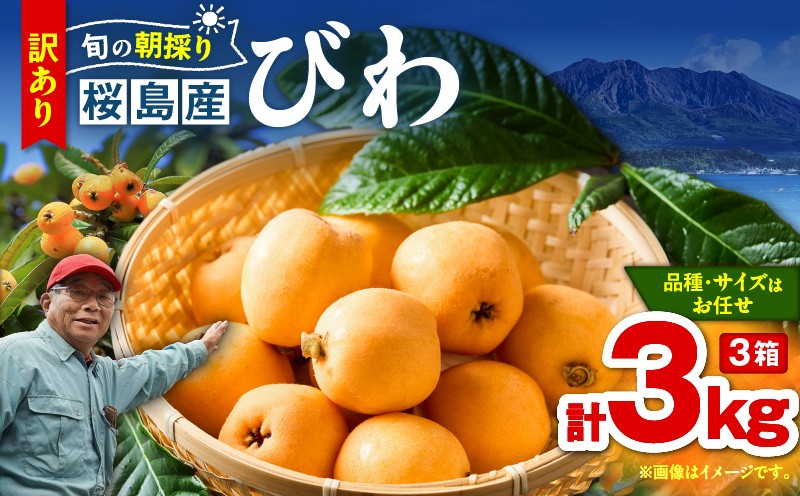 
                  旬の朝採り！ 鹿児島 桜島産びわ 3箱（訳あり品）　K343-002_03
                