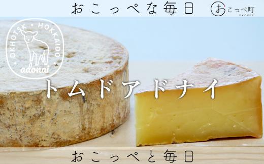 ミモレット＆トムドアドナイ