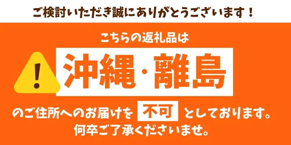 梅【梅干・梅酒用】熟南高 生梅 熟南高 大玉４L秀優混合 ＜2027年6月上旬～7月7日発送予定＞【art023B】