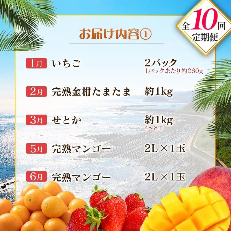 【10回定期便】旬 人気 フルーツ 南国宮崎産 マンゴー 金柑たまたま シャインマスカット ピオーネ いちご みかん 梨 メロン 柑橘 きんかん ぶどう 果物 詰め合わせ 宮崎県 九州＜E-2コース 