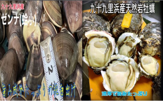 期間限定品純白出汁の天然”ゼンナ”とうま味が濃い天然岩牡蠣セット各2kg　合計4kg 魚貝類 海の幸 海鮮 貝 天然はまぐり 直送 生牡蠣 九十九里浜産 
