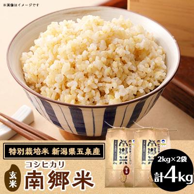ふるさと納税 五泉市 令和7年産 特別栽培米 隠れたお米の名産地!新潟県五泉産コシヒカリ「南郷米」玄米4kg