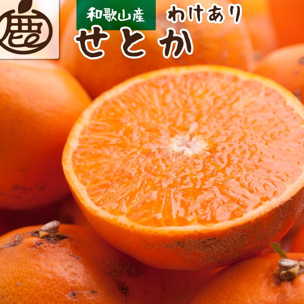 ［先行予約］家庭用 せとか5kg+250g（傷み補償分）［柑橘・春みかんの王様］［わけあり・訳あり］［光センサー選果・食べ頃出荷］［IKE63w］  	CZ047