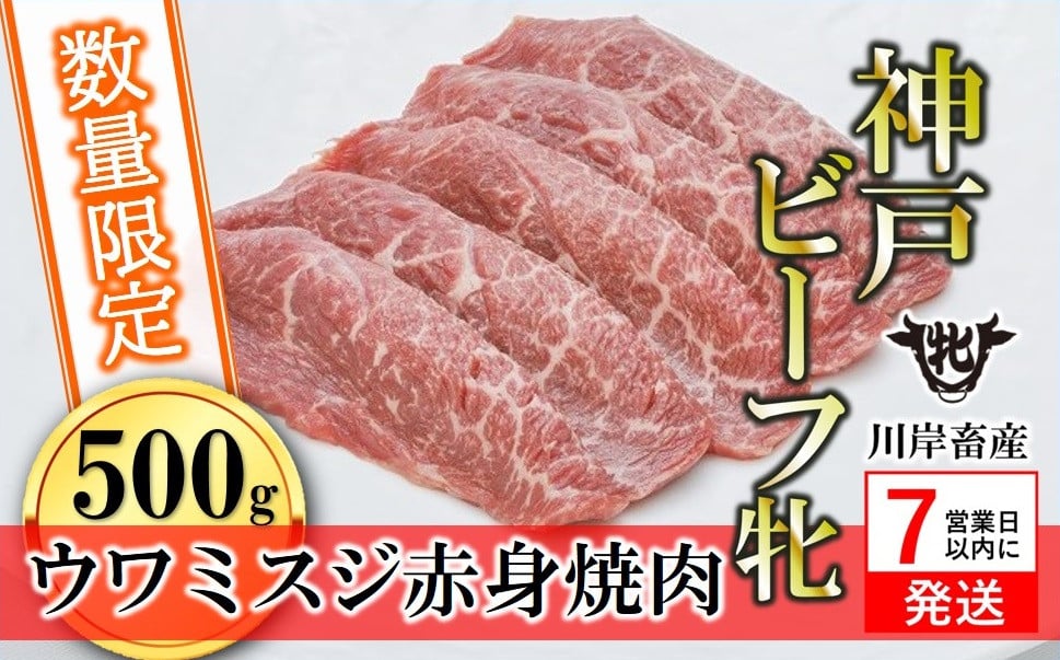 
            【数量限定】【神戸牛 牝】【7営業日以内発送】ウワミスジ赤身焼肉 500g 川岸畜産 (10-96) 肉 にく 牛肉 和牛 神戸ビーフ 神戸牛 但馬牛 焼肉 BBQ キャンプ 夏 スタミナ 人気 希少 希少部位 
          